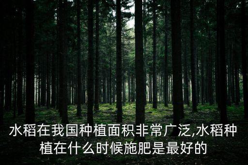 水稻在我國種植面積非常廣泛,水稻種植在什么時(shí)候施肥是最好的