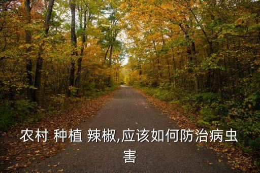 剛種植的辣椒打什么農(nóng)藥,辣椒適合跟什么一起種植