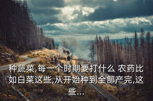 農藥打什么藥省力