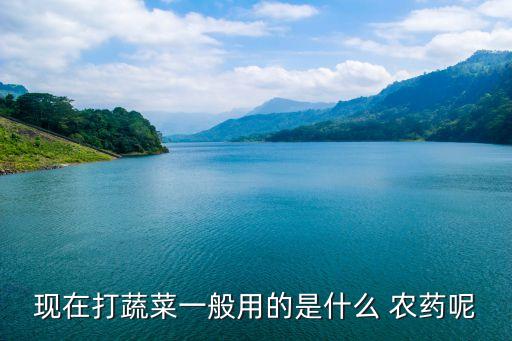 現在打蔬菜一般用的是什么 農藥呢