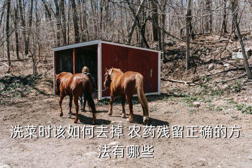 新鮮蔬菜用什么洗去農(nóng)藥,水中加什么可以洗去菜農(nóng)藥