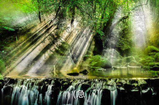 用什么農藥消滅牙蟲蟲,農藥牙蟲什么最好