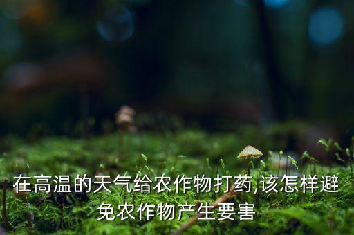 為什么打農藥不能有風,花期為什么不能打農藥
