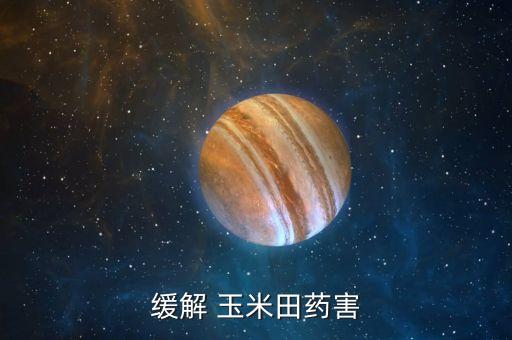 打什么農(nóng)藥會讓玉米不長