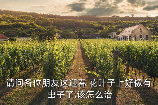 請(qǐng)問各位朋友這迎春 花葉子上好像有 蟲子了,該怎么治