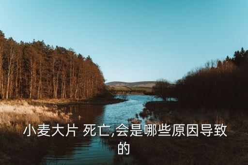 什么農藥可以讓小麥死亡,現在小麥打什么農藥