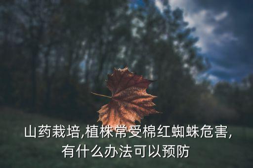  山藥栽培,植株常受棉紅蜘蛛危害,有什么辦法可以預(yù)防
