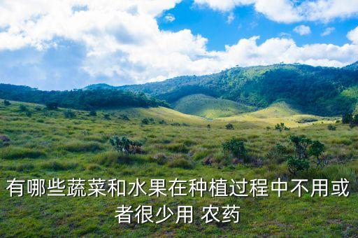 有哪些蔬菜和水果在種植過程中不用或者很少用 農藥