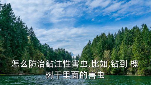 槐樹干枯用什么農藥,茶葉干枯打什么農藥