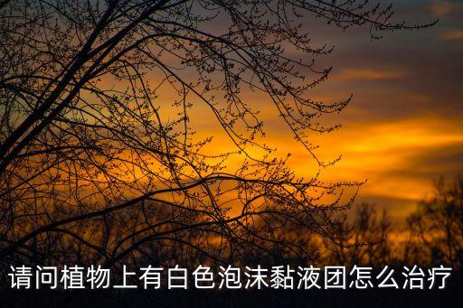 請問植物上有白色泡沫黏液團怎么治療