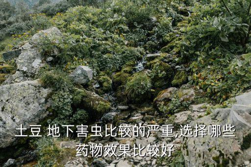 什么農(nóng)藥專殺地下蟲害最好