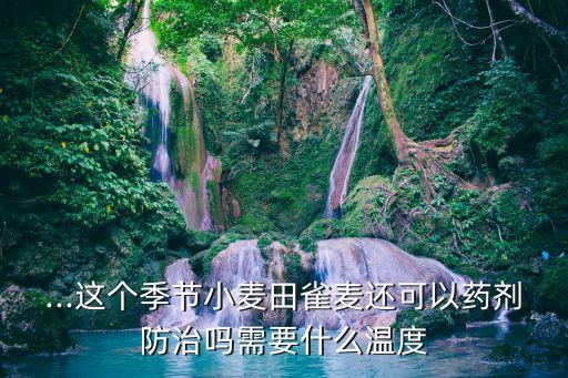 野燕麥雀麥用什么農藥治好