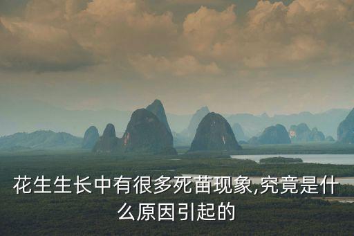 花生生長中有很多死苗現象,究竟是什么原因引起的