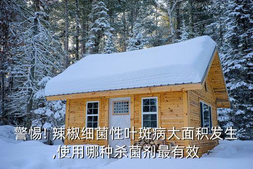 警惕! 辣椒細(xì)菌性葉斑病大面積發(fā)生,使用哪種殺菌劑最有效