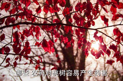 用什么農藥疏花疏果最好,枇杷什么時間疏花疏果最好