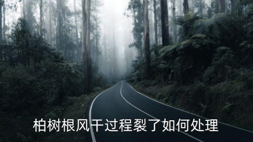 崖柏打什么農藥,柏膚小蠹用什么農藥可以治療