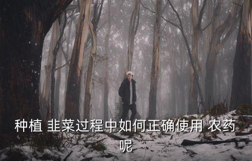 韭菜與農(nóng)藥有什么關(guān)系,韭菜上的農(nóng)藥用什么泡