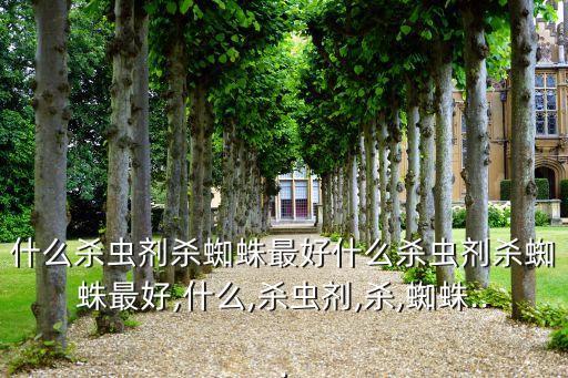 什么殺蟲劑殺蜘蛛最好什么殺蟲劑殺蜘蛛最好,什么,殺蟲劑,殺,蜘蛛...