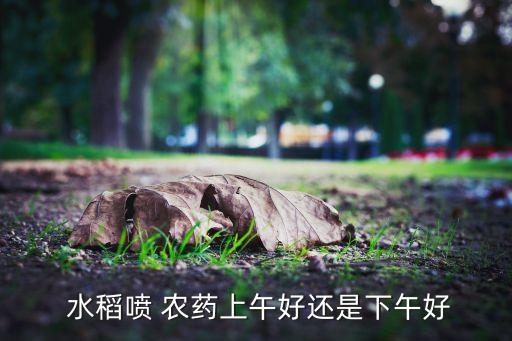  水稻噴 農藥上午好還是下午好