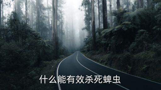 什么能有效殺死蜱蟲