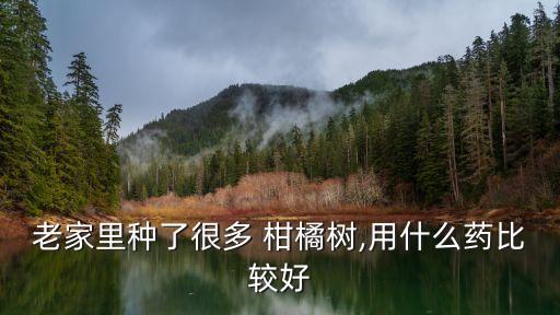 老家里種了很多 柑橘樹,用什么藥比較好