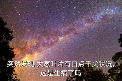 突然發現 大蔥葉片有白點干尖狀況,這是生病了嗎