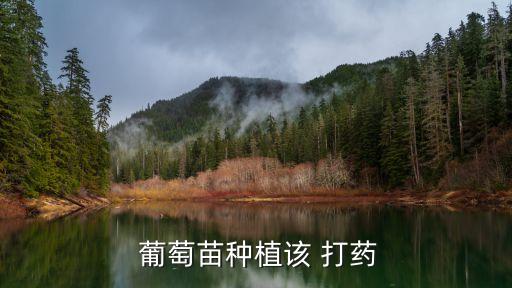  葡萄苗種植該 打藥