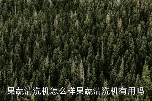 果蔬清洗機怎么樣果蔬清洗機有用嗎