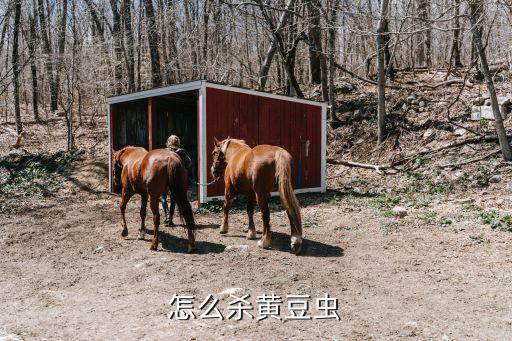 豆子防止生蟲有什么辦法,豆子生蟲用什么農(nóng)藥好呢