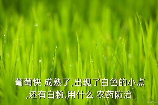  葡萄快 成熟了,出現了白色的小點,還有白粉,用什么 農藥防治