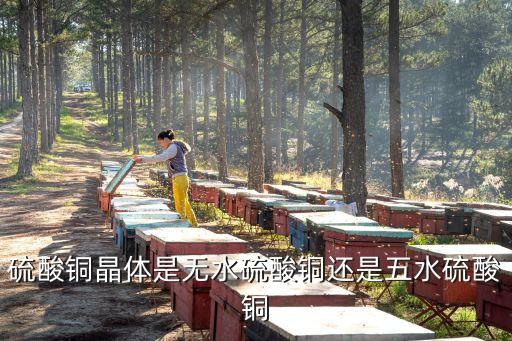 農(nóng)藥形成結(jié)晶水是什么,形成結(jié)晶水是什么變化