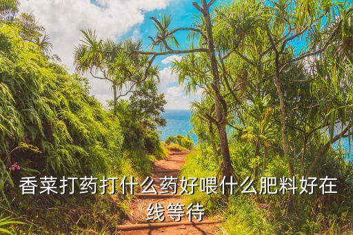  香菜打藥打什么藥好喂什么肥料好在線等待