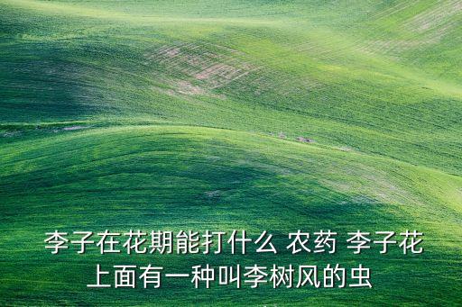  李子在花期能打什么 農(nóng)藥 李子花上面有一種叫李樹風(fēng)的蟲
