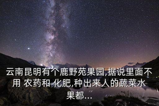 云南昆明有個(gè)鹿野苑果園,據(jù)說(shuō)里面不用 農(nóng)藥和 化肥,種出來(lái)人的蔬菜水果都...