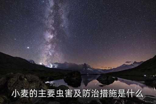 小麥的主要蟲害及防治措施是什么