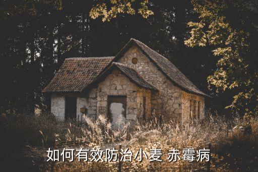 麥田赤霉病用什么農藥,三月份麥田打什么農藥