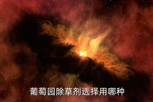  葡萄園除草劑選擇用哪種