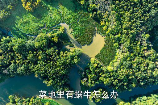 窩牛最怕什么農(nóng)藥,洋辣子怕什么農(nóng)藥