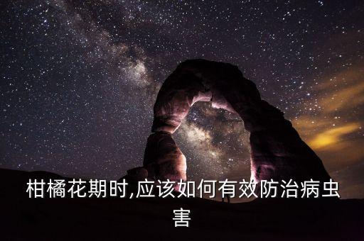  柑橘花期時(shí),應(yīng)該如何有效防治病蟲害