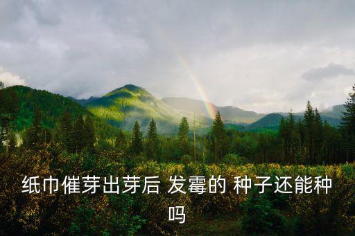 苗床種子發霉用什么農藥