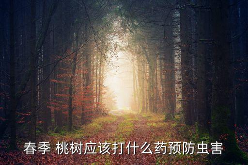 春季 桃樹應(yīng)該打什么藥預(yù)防蟲害