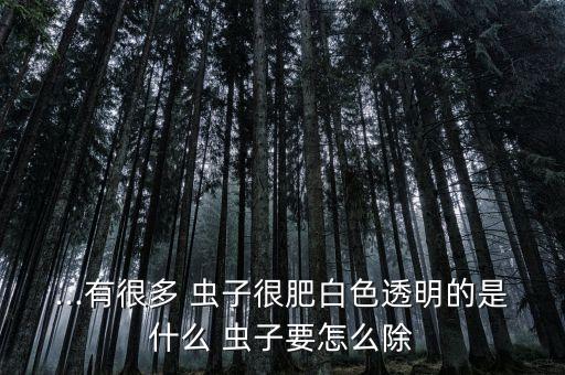 柏樹上有蟲子打什么農藥
