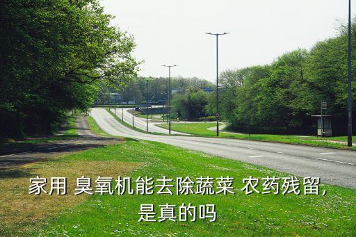 家用 臭氧機能去除蔬菜 農藥殘留,是真的嗎