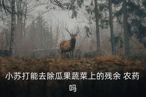 小蘇打能去除瓜果蔬菜上的殘余 農(nóng)藥嗎