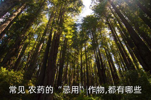 什么農藥不能用于西瓜,西瓜一般打什么農藥