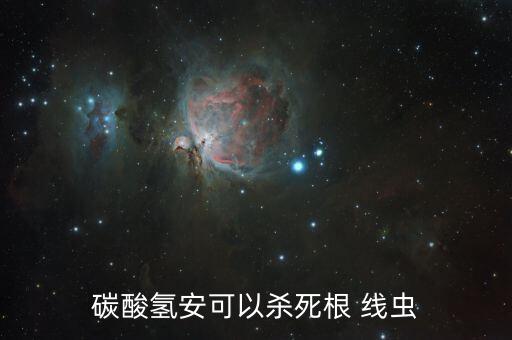 碳酸氫安可以殺死根 線蟲