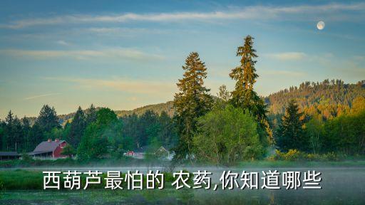 它怕什么農藥,根腐病最怕什么農藥