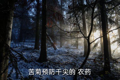 苦菊預(yù)防干尖的 農(nóng)藥