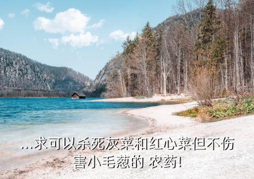 ...求可以殺死灰菜和紅心菜但不傷害小毛蔥的 農藥!
