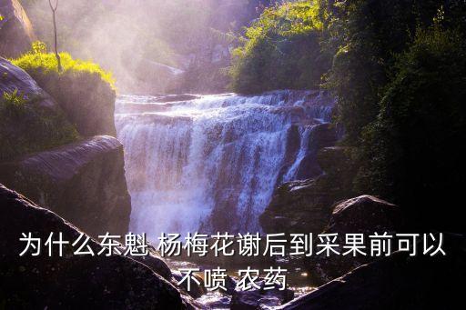楊梅什么打農藥嗎,楊梅清園用什么農藥